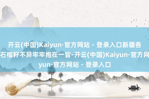 开云(中国)Kaiyun·官方网站 - 登录入口新疆各族干部内行像石榴籽不异牢牢抱在一皆-开云(中国)Kaiyun·官方网站 - 登录入口